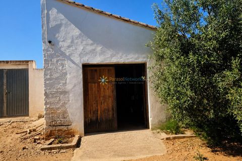 Villa en Cotes, Valencia, Cotes - € 1.200.000 | Ref: PNVL2175 - photo 34